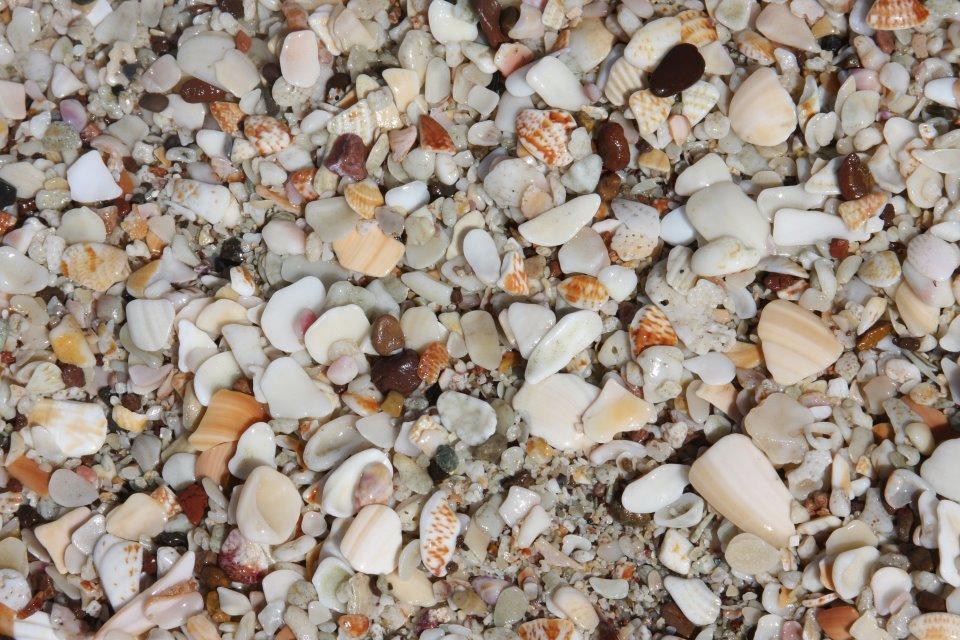 Villas La Paz Playa Conchal Dış mekan fotoğraf